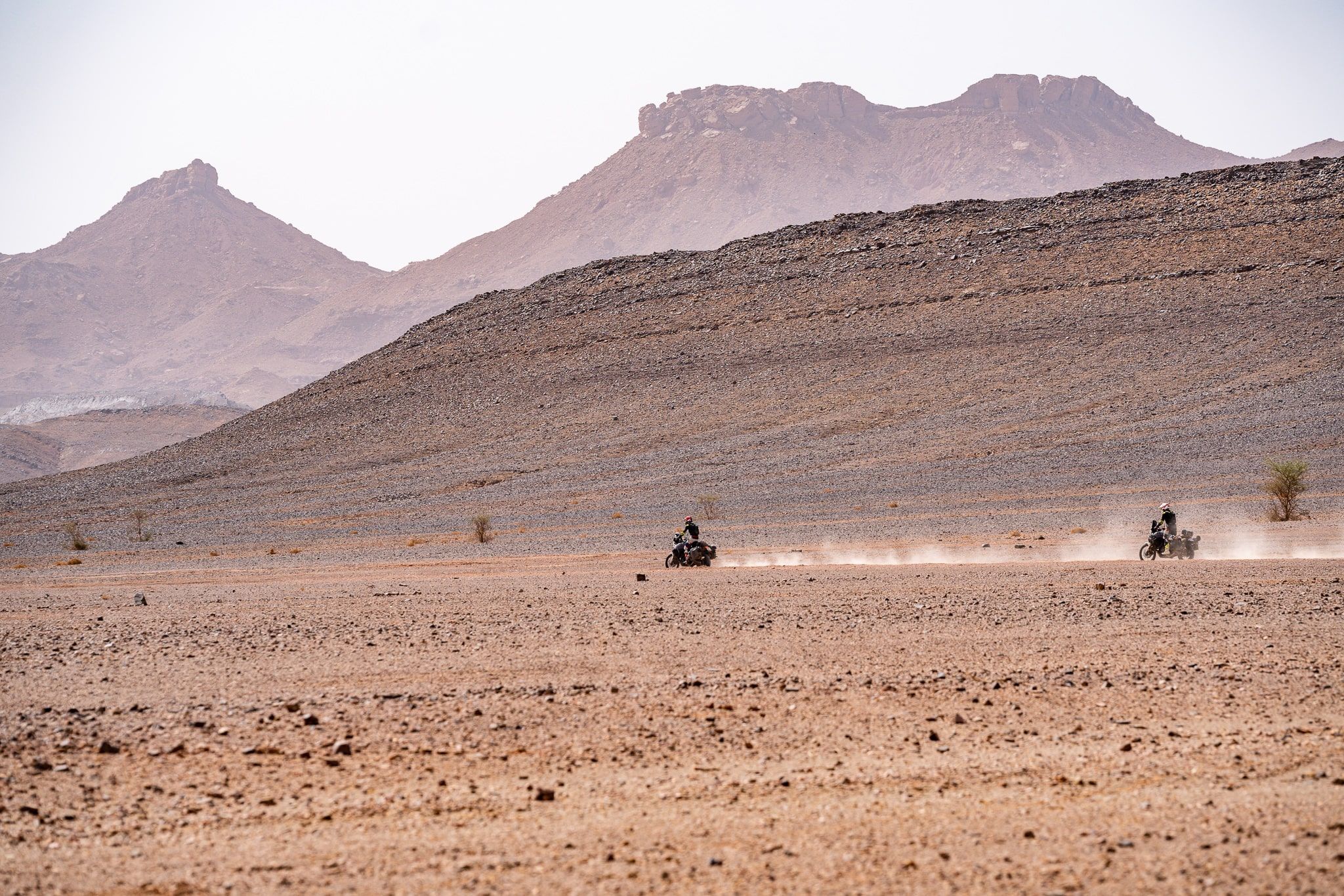 M_C06852 - Copie-min.jpg