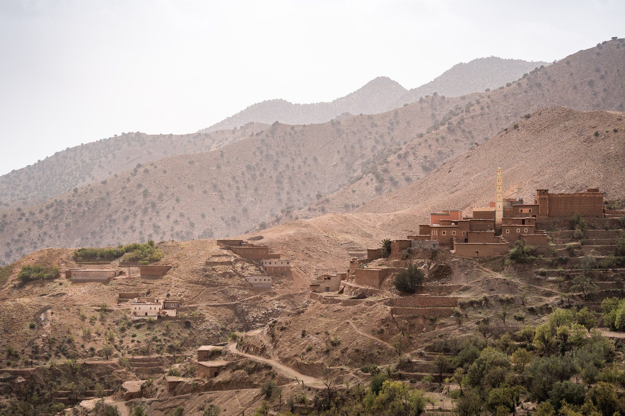 M_C08147-min.jpg