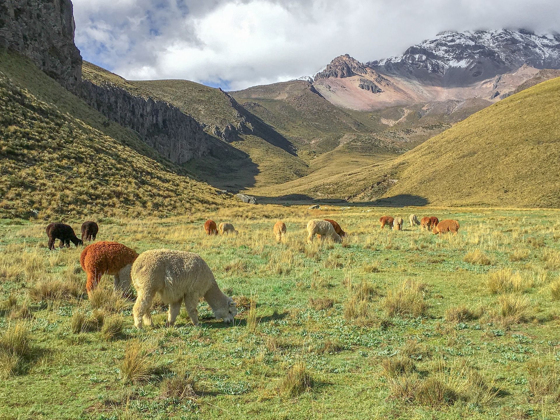 ecuador-3371110_1920.jpg
