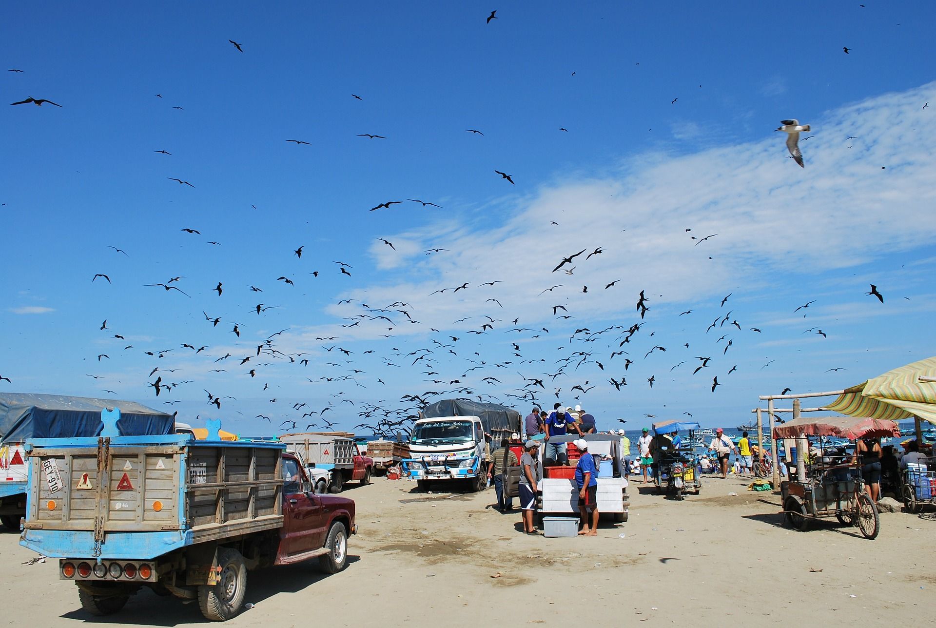 puerto-lopez-100621_1920.jpg